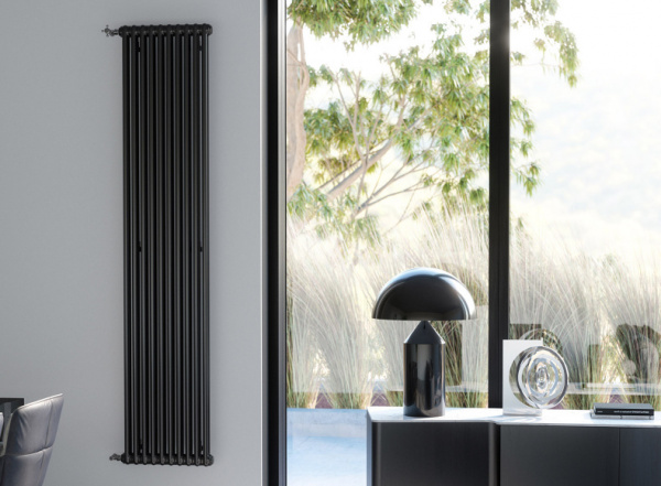�������� Zehnder Charleston CH 2180/10 1270  RAL 9217 matt ���� ׸����