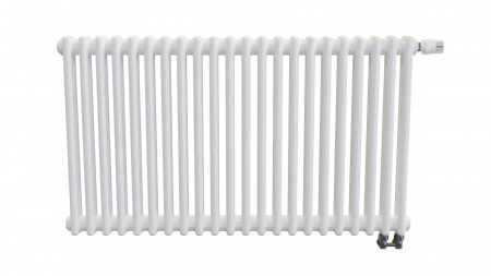 �������� Zehnder Charleston Completto CH 2056/22 V001  RAL 9016