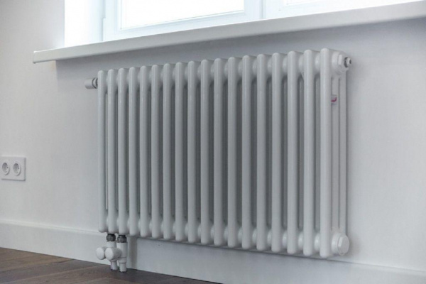�������� Zehnder Charleston Completto CH 3050/06 V001  RAL 9016